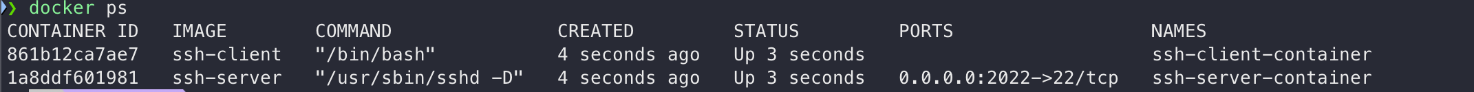 list of docker containers