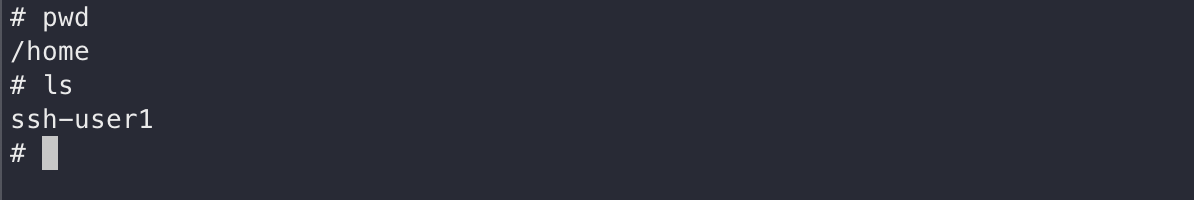 ssh server home directory